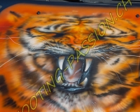 tunning-0086