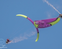 L5I1188