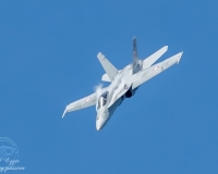 L5I1303