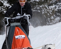1chien mosses 088