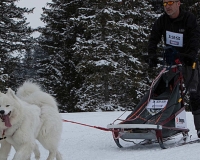 1chien mosses 134