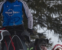 2chien mosses 234