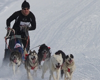 3chien mosses 571