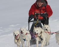 3chien mosses 635