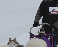 3chien mosses 760
