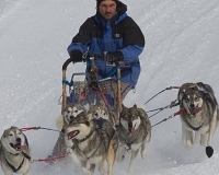 3chien mosses 844