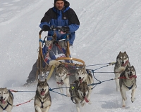 3chien mosses 850