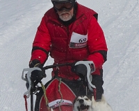 3chien mosses 874