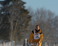 chiens-12