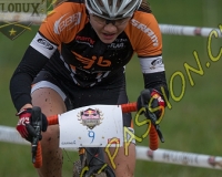 REDBULL0500