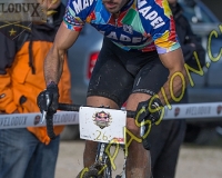 REDBULL1177