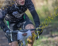 REDBULL1244