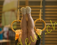 3GYM095