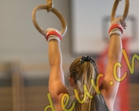 3GYM484