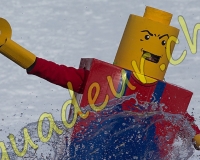 1JAUN417
