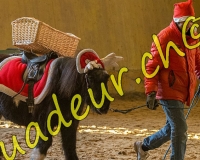 1EPENDES105