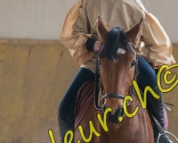 2EPENDES017