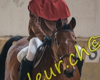 2EPENDES025