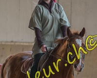 2EPENDES029