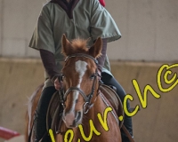 2EPENDES031