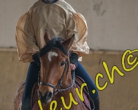 2EPENDES034