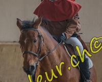 2EPENDES036