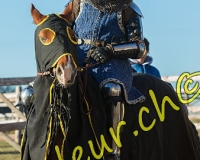 2EPENDES348