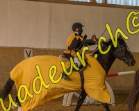 2EPENDES381