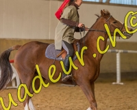 2EPENDES394