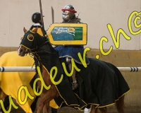 2EPENDES416