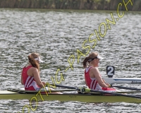 1AVIRON-0090