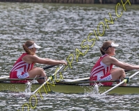 1AVIRON-0098