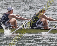 1AVIRON-0117