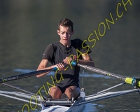 2AVIRON-0084