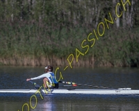 2AVIRON-0238