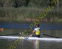 2AVIRON-0288