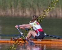 2AVIRON-0295