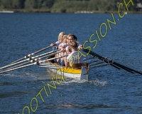 2AVIRON-0584