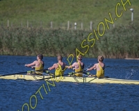 2AVIRON-0593