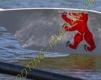 2AVIRON-0887