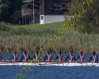 2AVIRON-0980