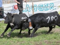 5D4A4327