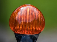 5D4A0723