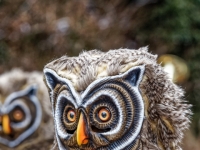 ROMONT048
